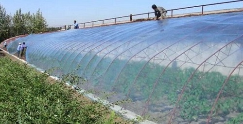 大棚吹膜用哪種增白劑？